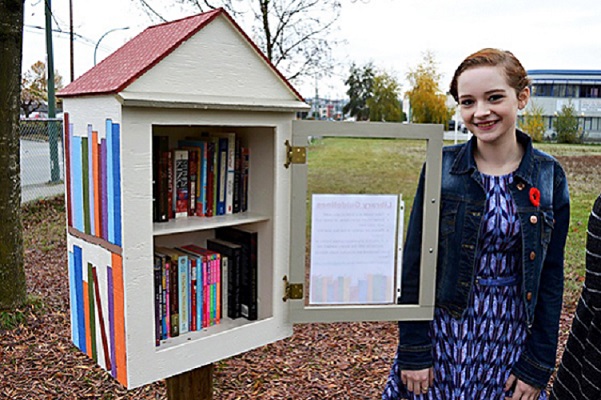 Free Little Libraries